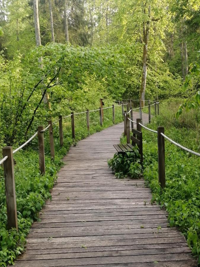 Ostoja Lejlighed Białowieża Eksteriør billede
