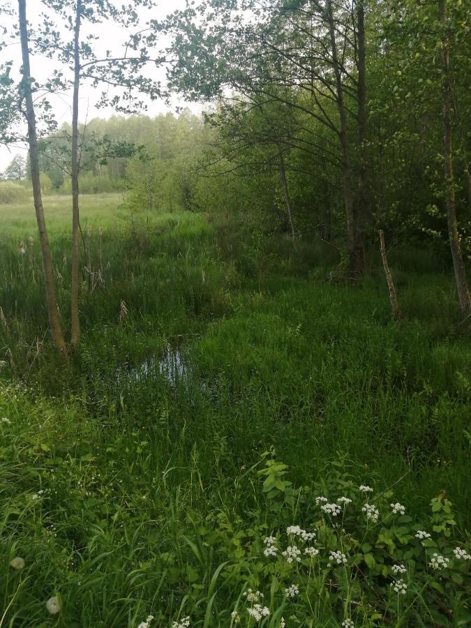 Ostoja Lejlighed Białowieża Eksteriør billede