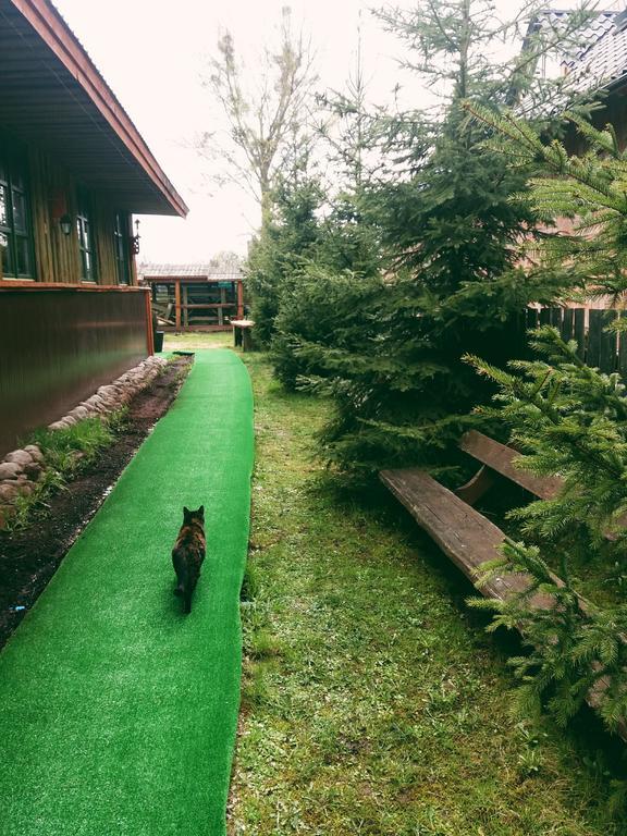 Ostoja Lejlighed Białowieża Eksteriør billede